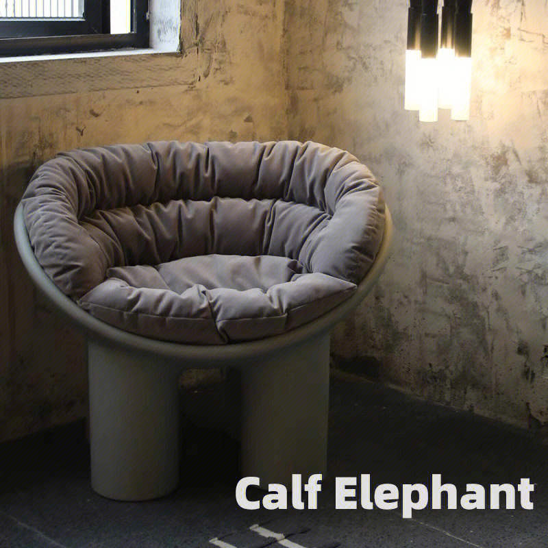 an elephant calf图片