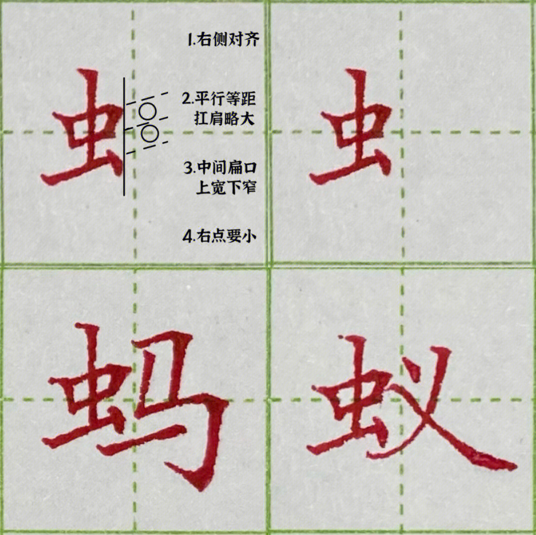 硬笔楷书d46虫字旁及例字