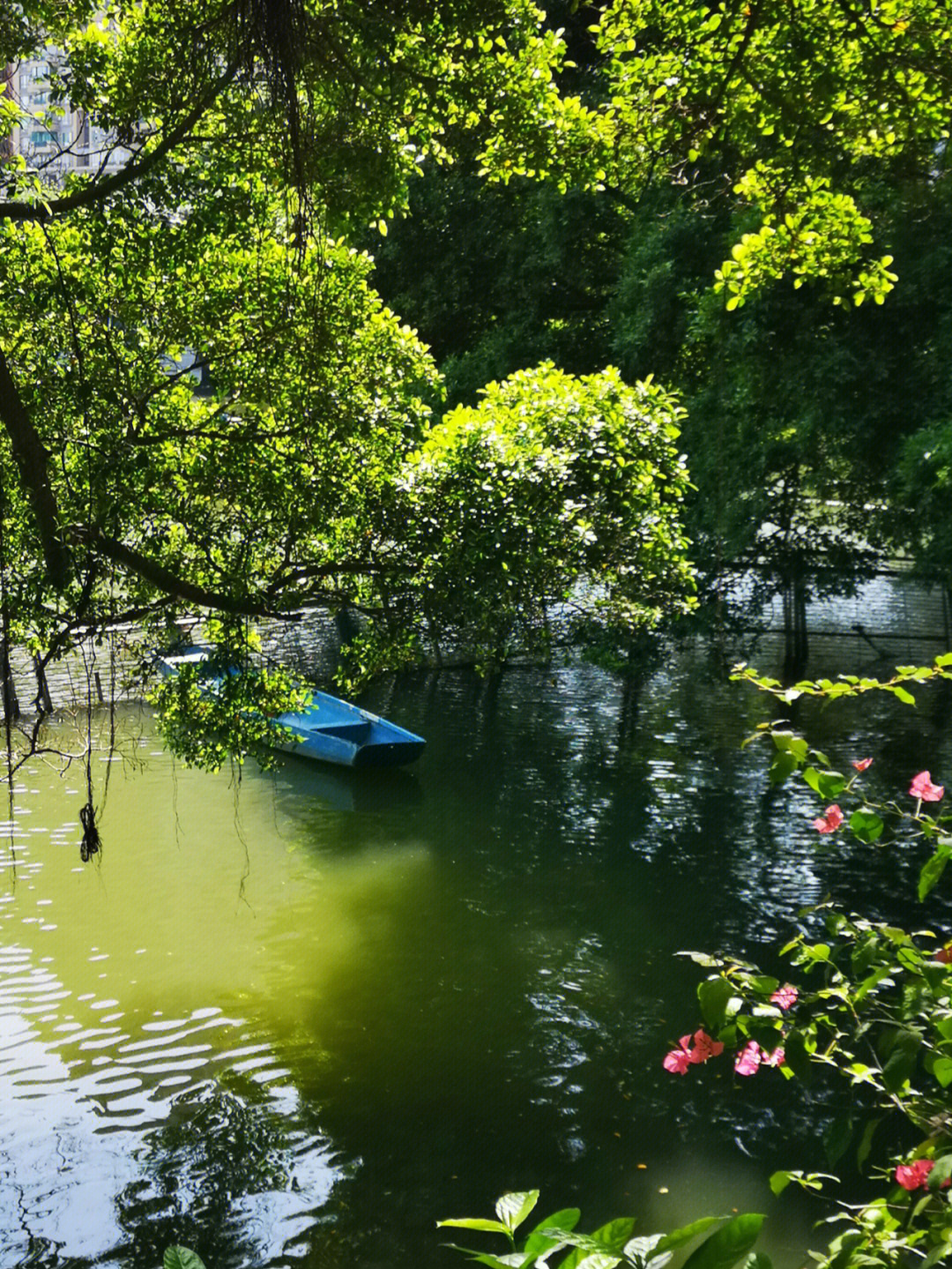 郴州东山湖图片