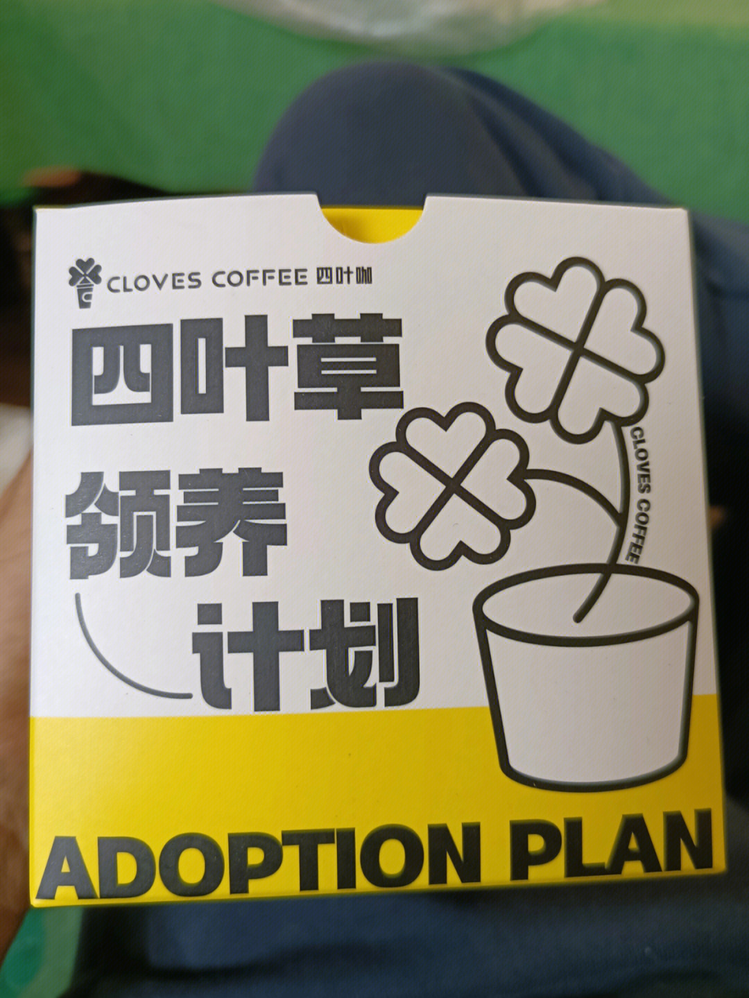 cloves歌手图片