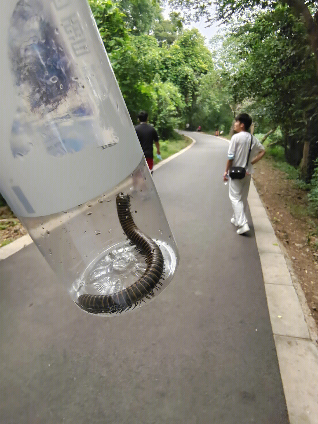 新华学院上吊大蜀山图片