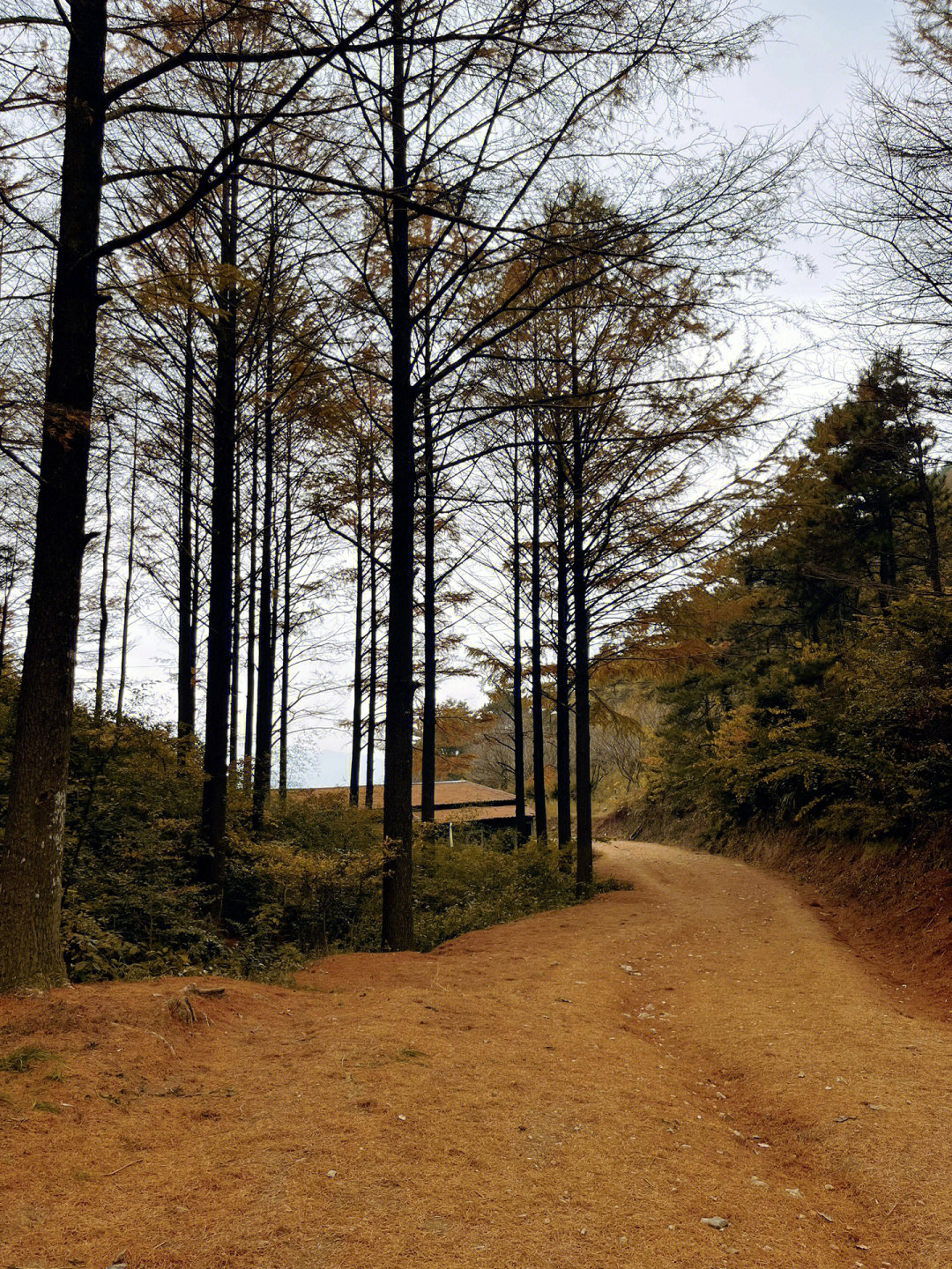 山岭,这满地的黄金,这温柔的秋[两颗心r]路线:开车导航至唐田幸福水库