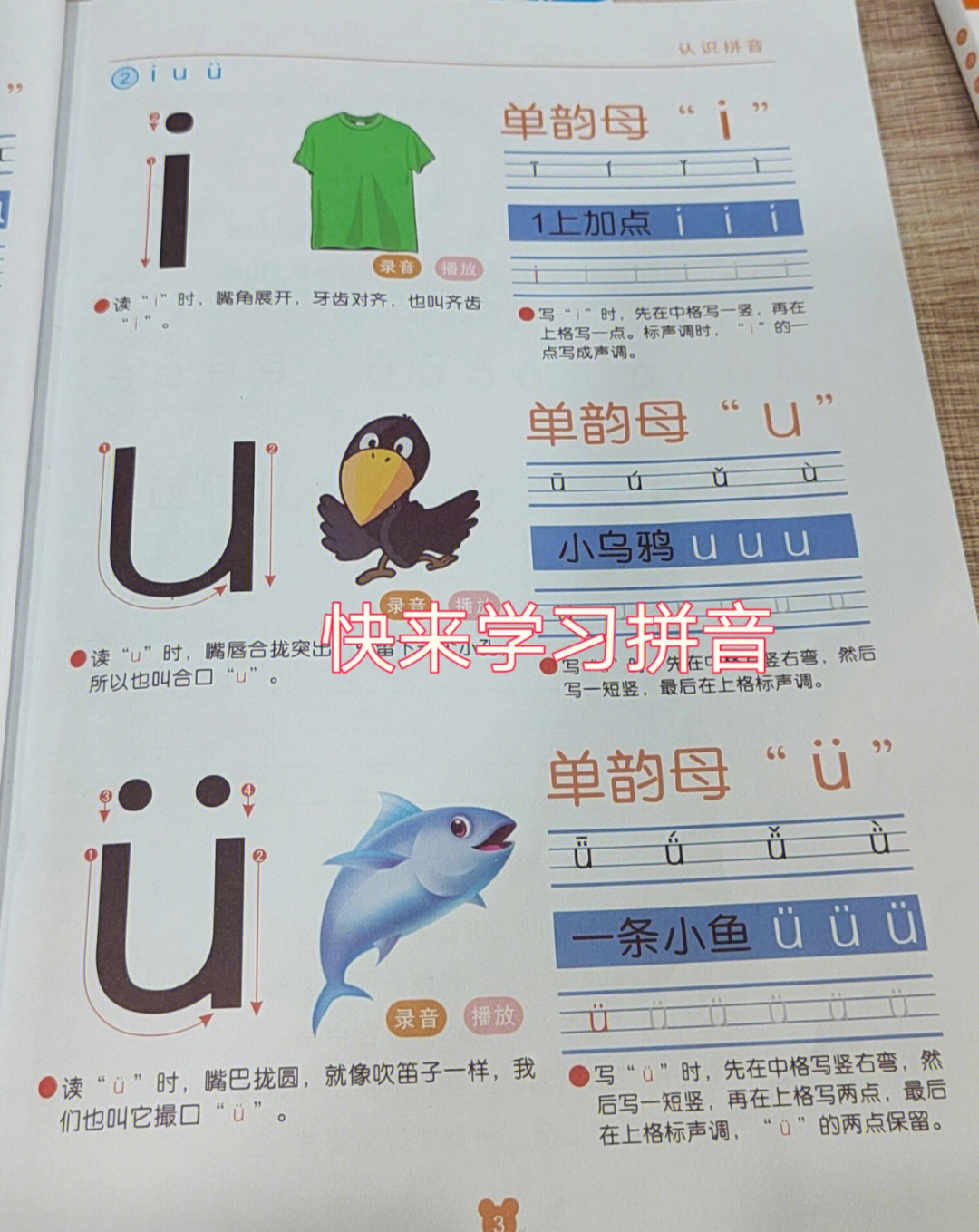学习单韵母iuü的方法