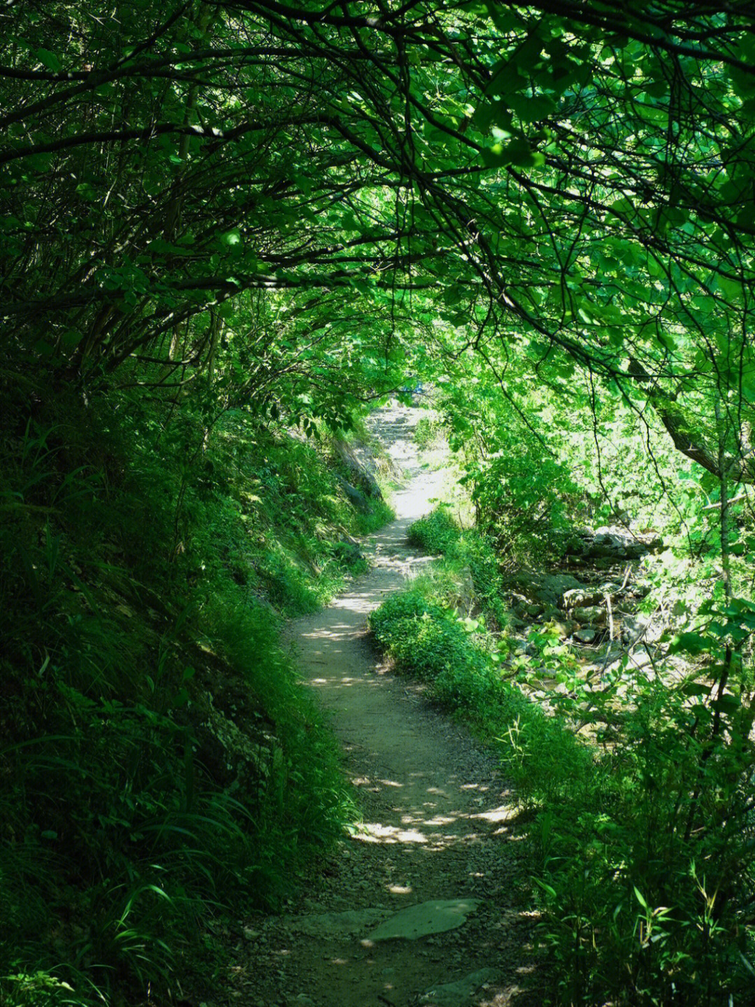 义乌八岭坑古道线路图图片