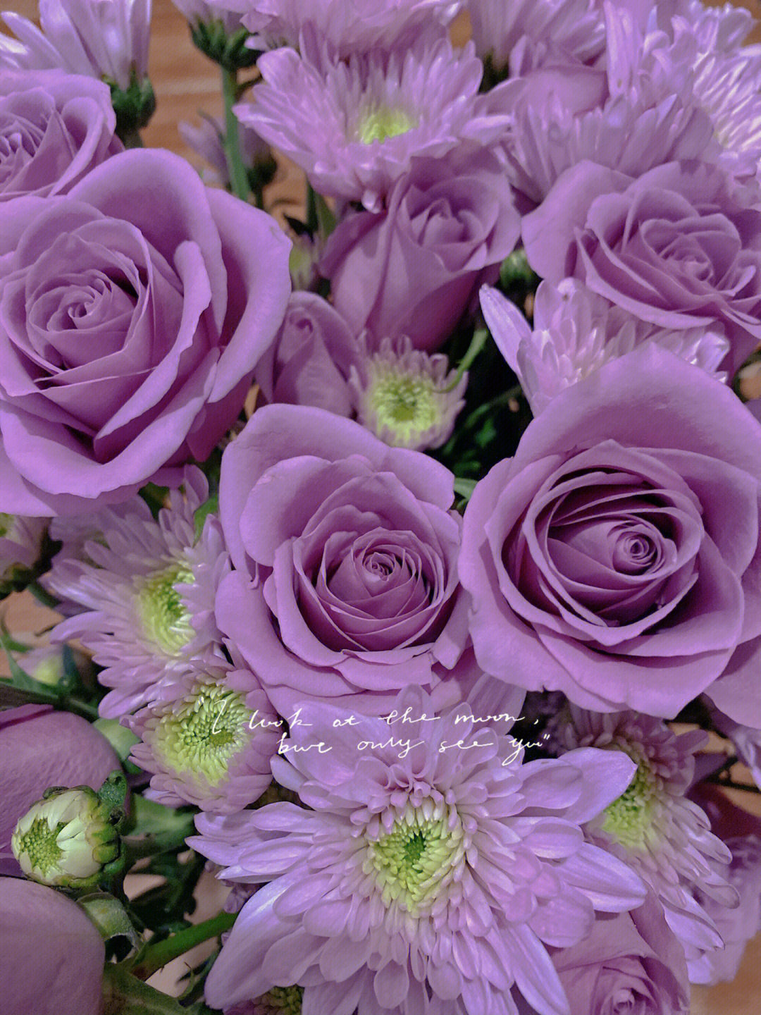 每天都有开心的事发生独角兽浪漫紫色玫瑰