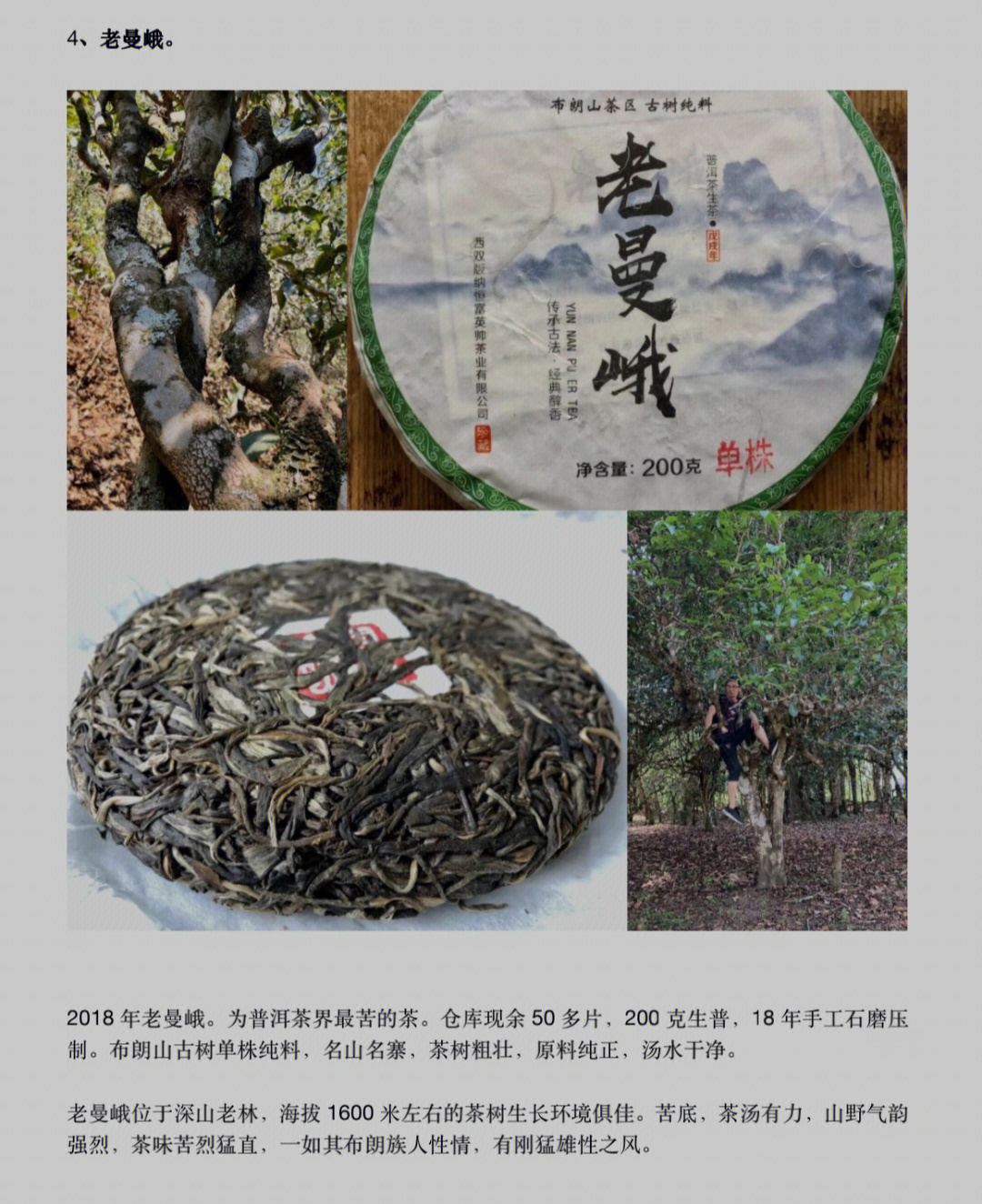 老曼峨普洱茶特点图片