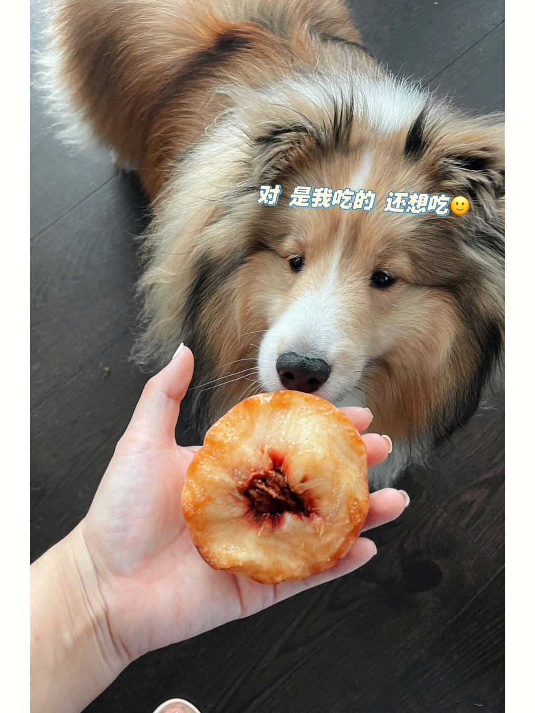 狗的桃子最大生产图片