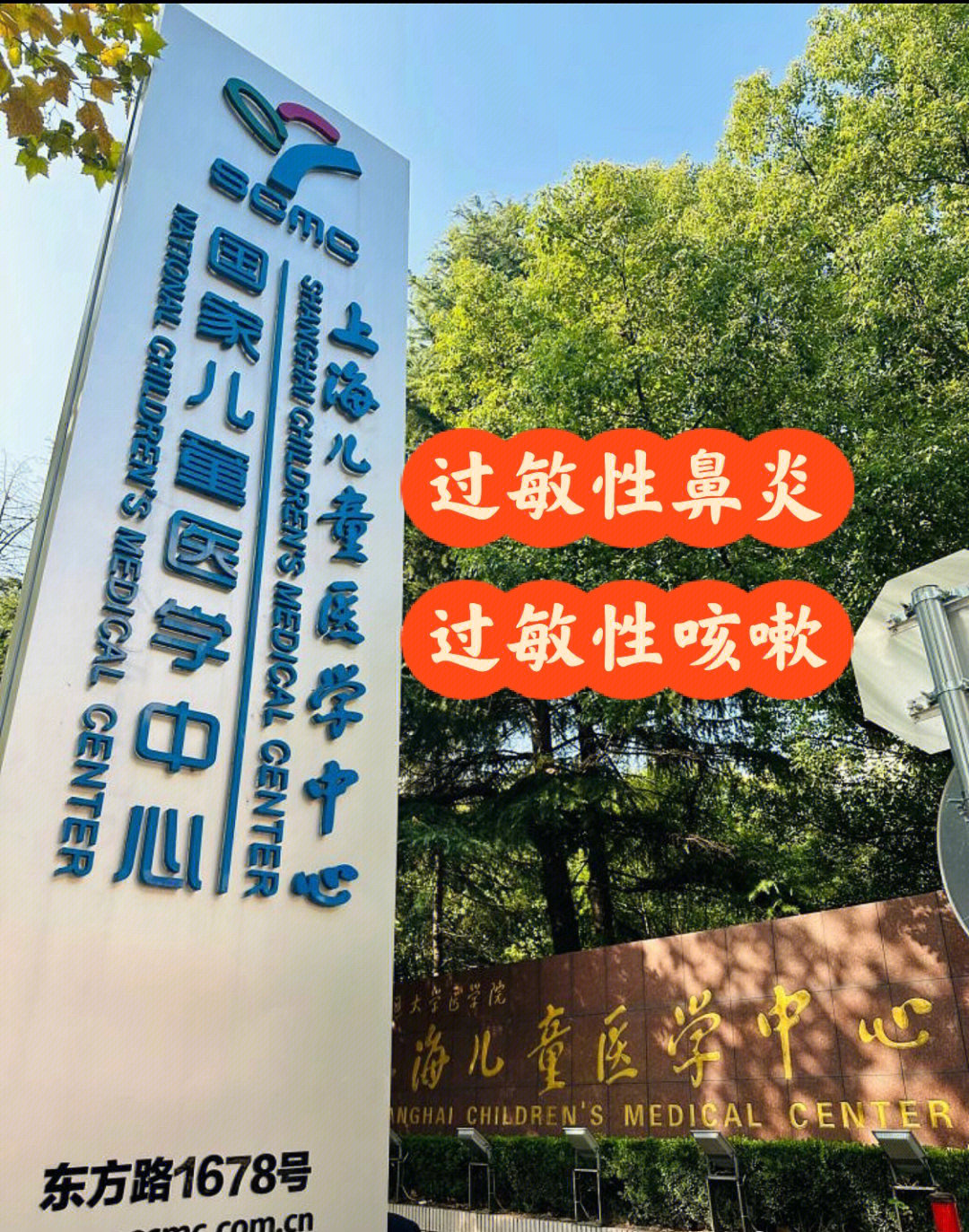 上海儿童医学中心杨友图片