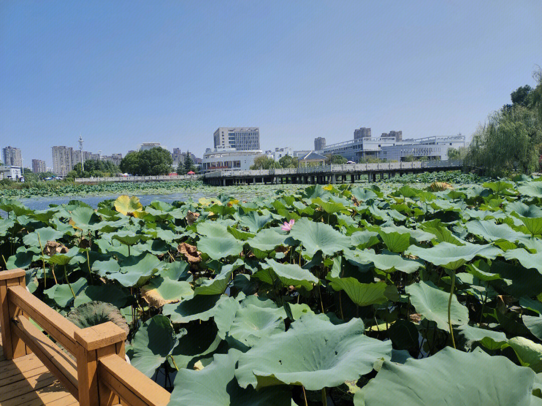 安徽师范大学花津校区图片