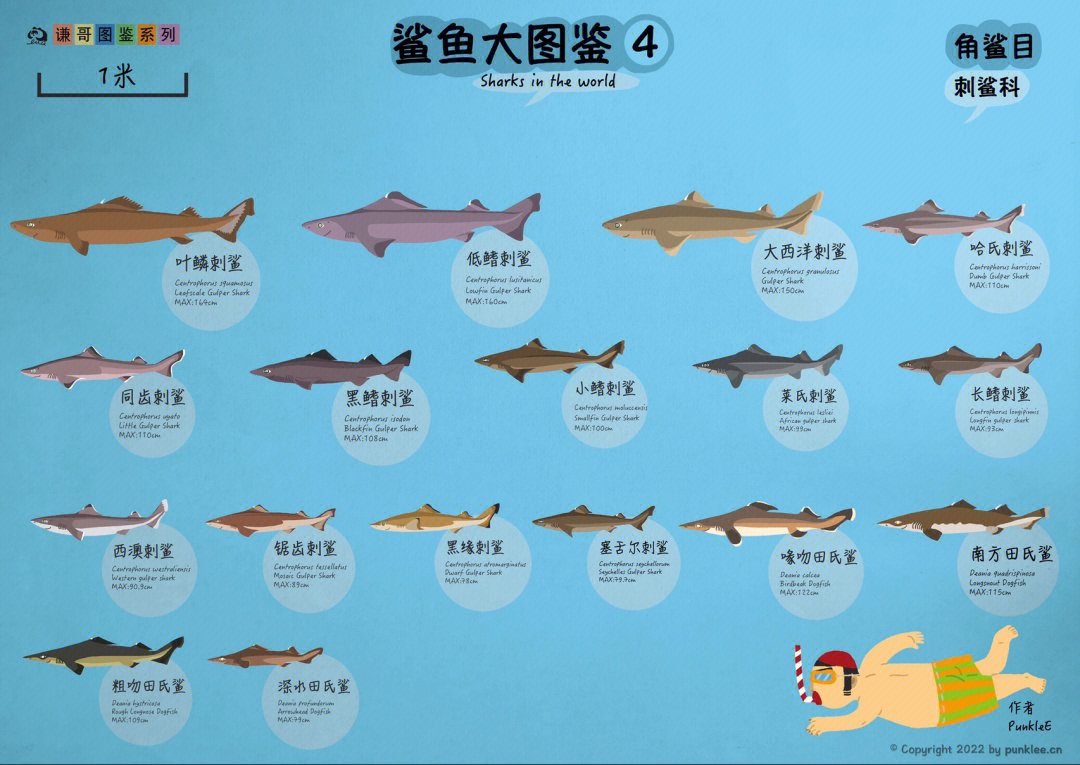 饥饿鲨世界鱼类图鉴图片