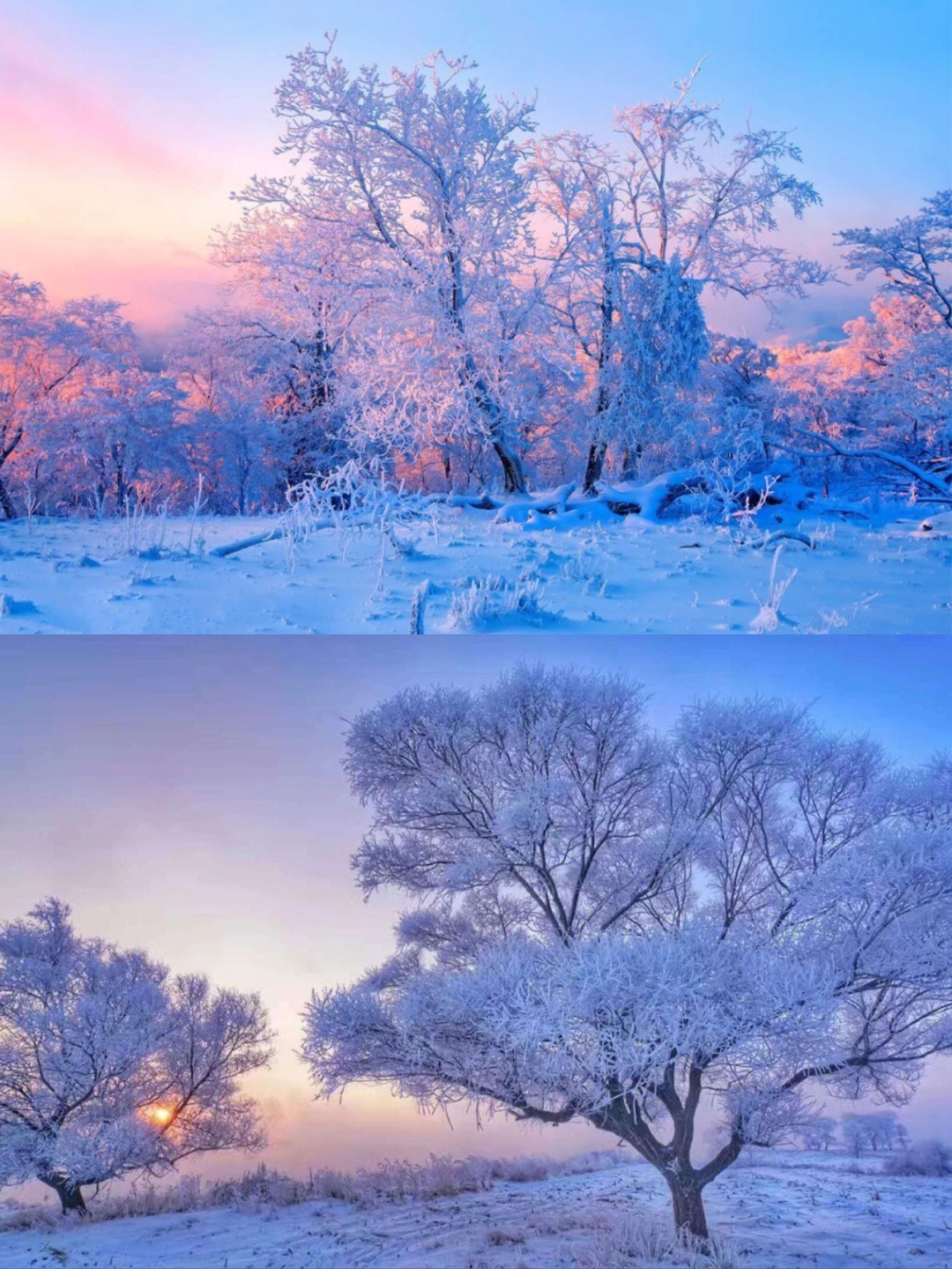 东北雾凇岛夜看雾晨看挂看最美雾凇雪景