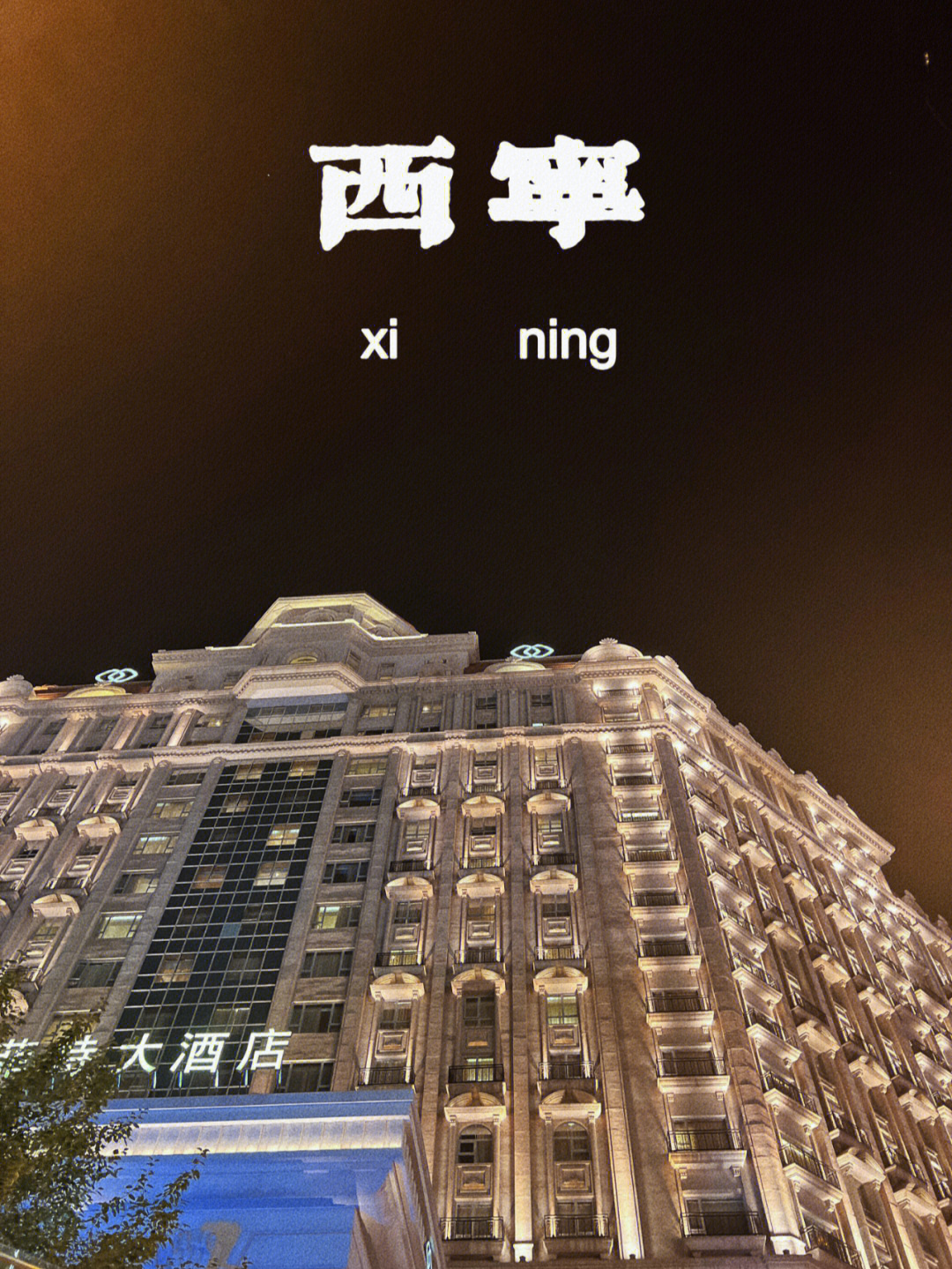西宁果洛大酒店地址图片
