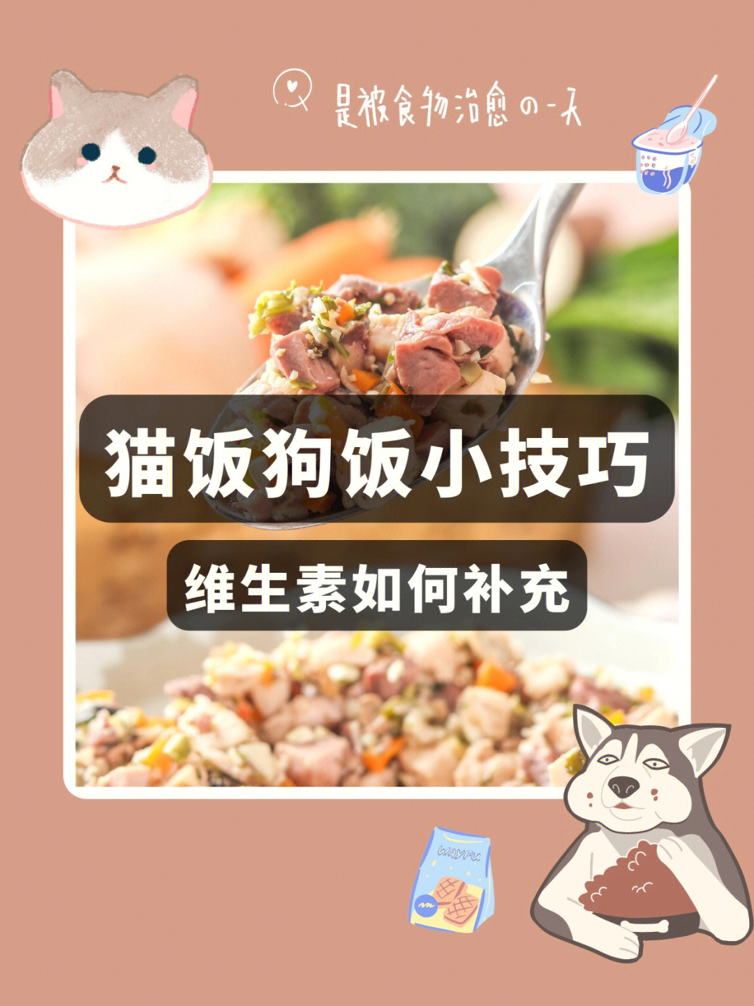 自制猫饭小技巧|维生素如何补充