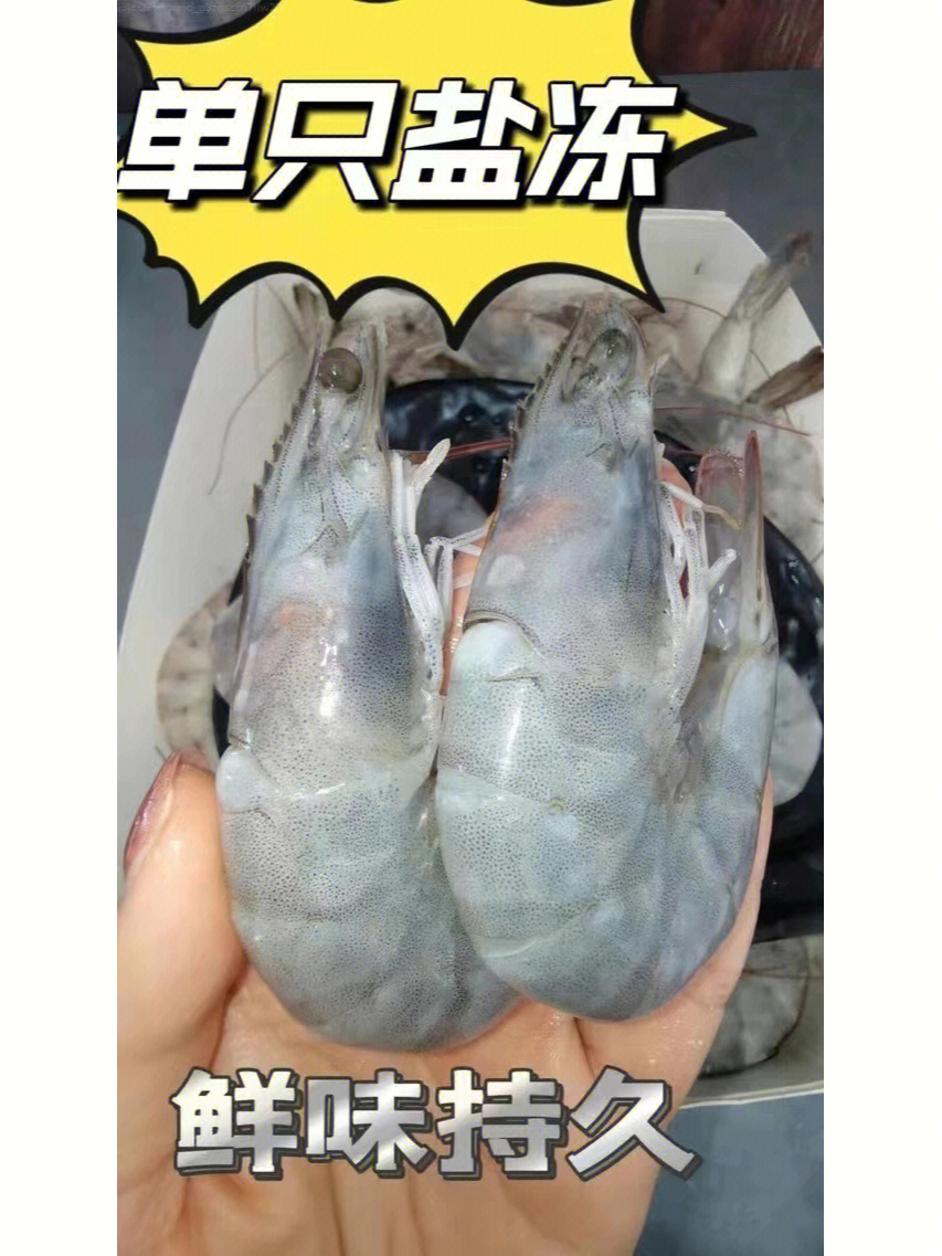 3040青岛大虾超级新鲜