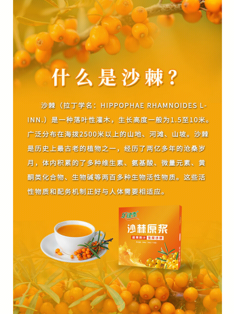 沙棘的功效与作用排毒图片