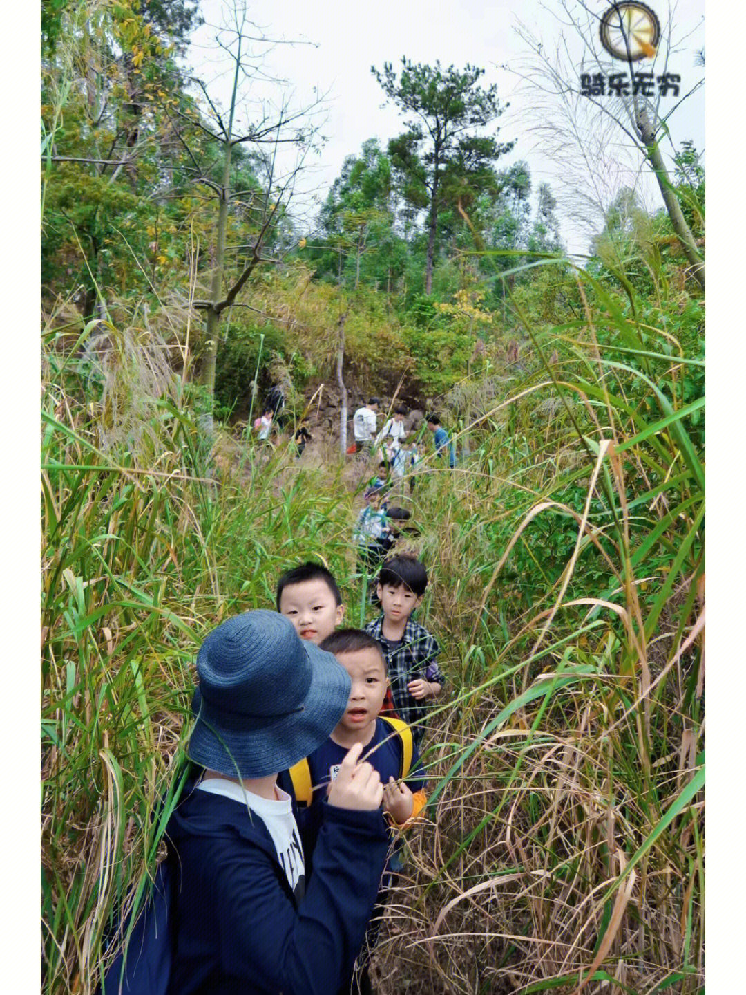 紫帽山路线图片