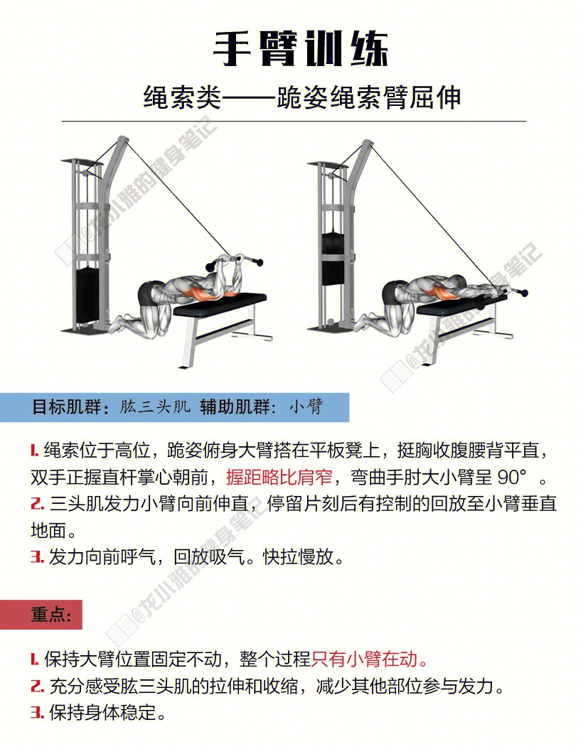 绳索颈后臂屈伸图片