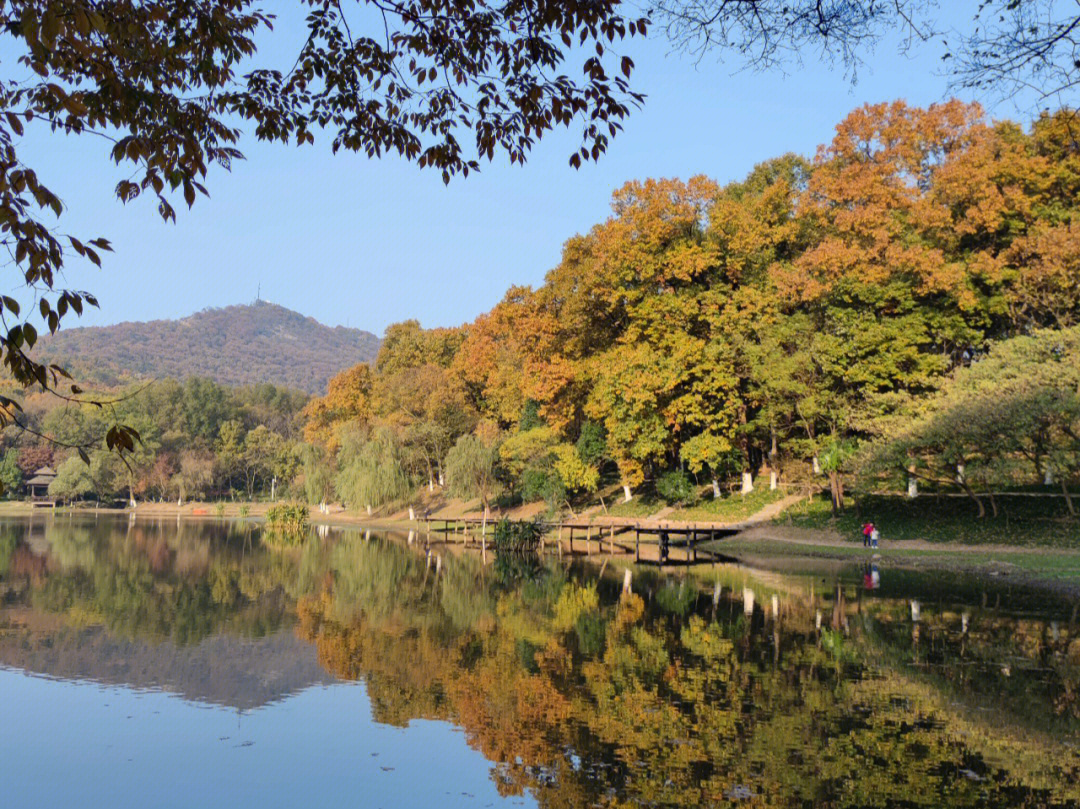 余干琵琶湖湿地公园图片