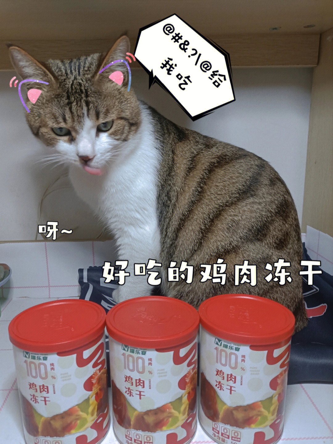 猫咪零食冻干怎么选择呢