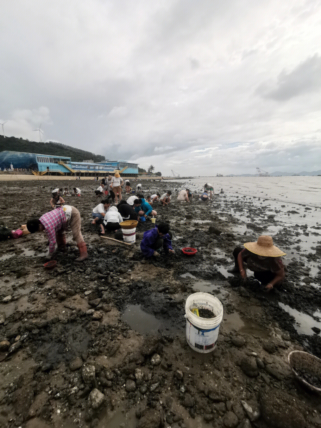 8月8日下午海陵岛瓦晒赶海