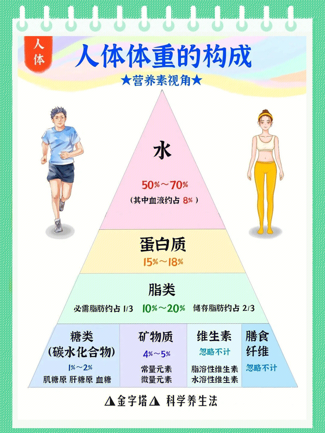 人体7大营养素是什么图片