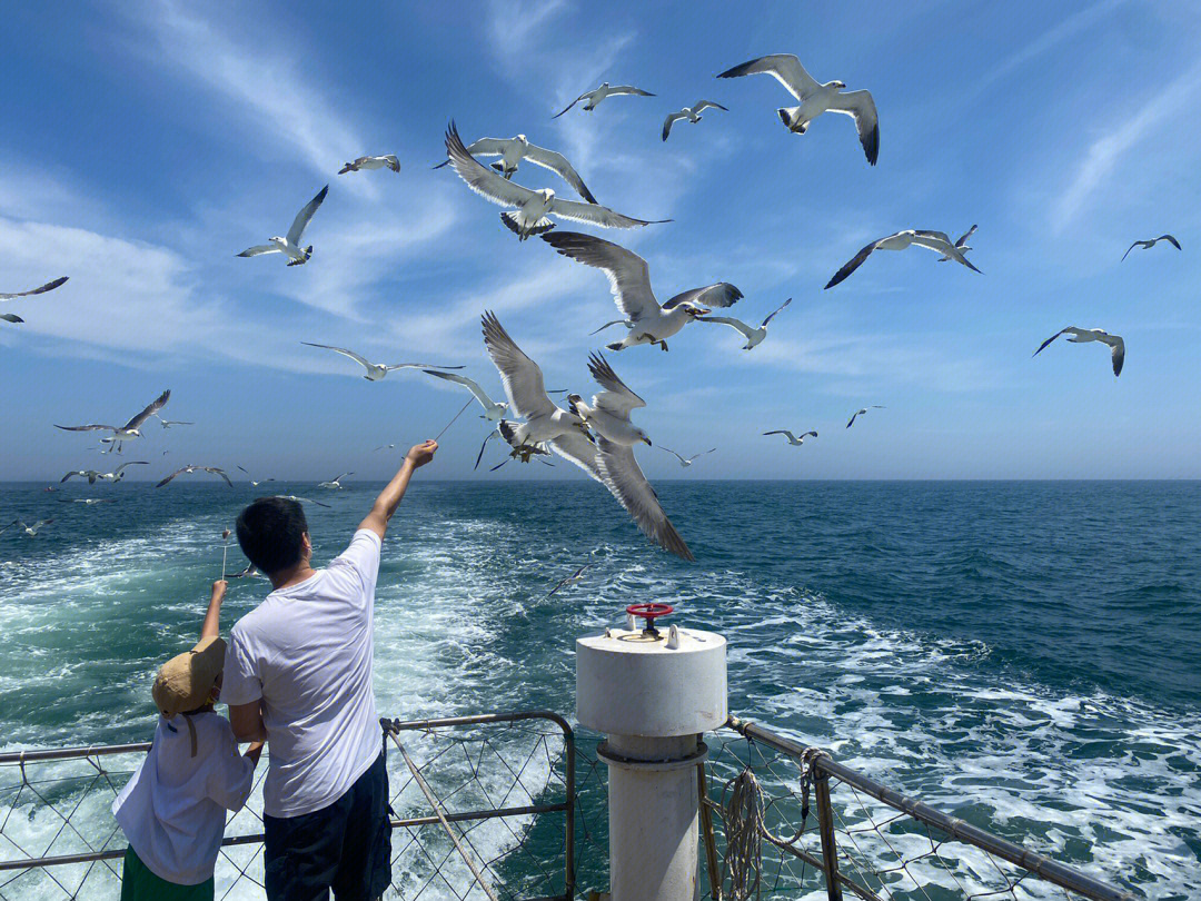 威海国际海水浴场赶海图片