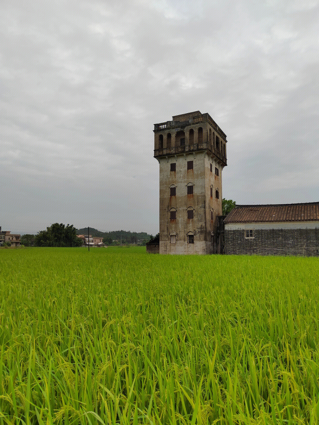 台山古村旅游景点图片