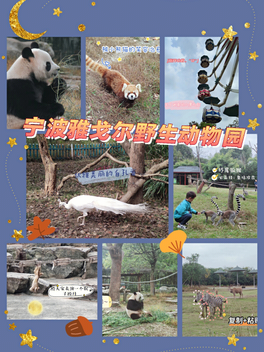 73宁波雅戈尔野生动物园游玩攻略