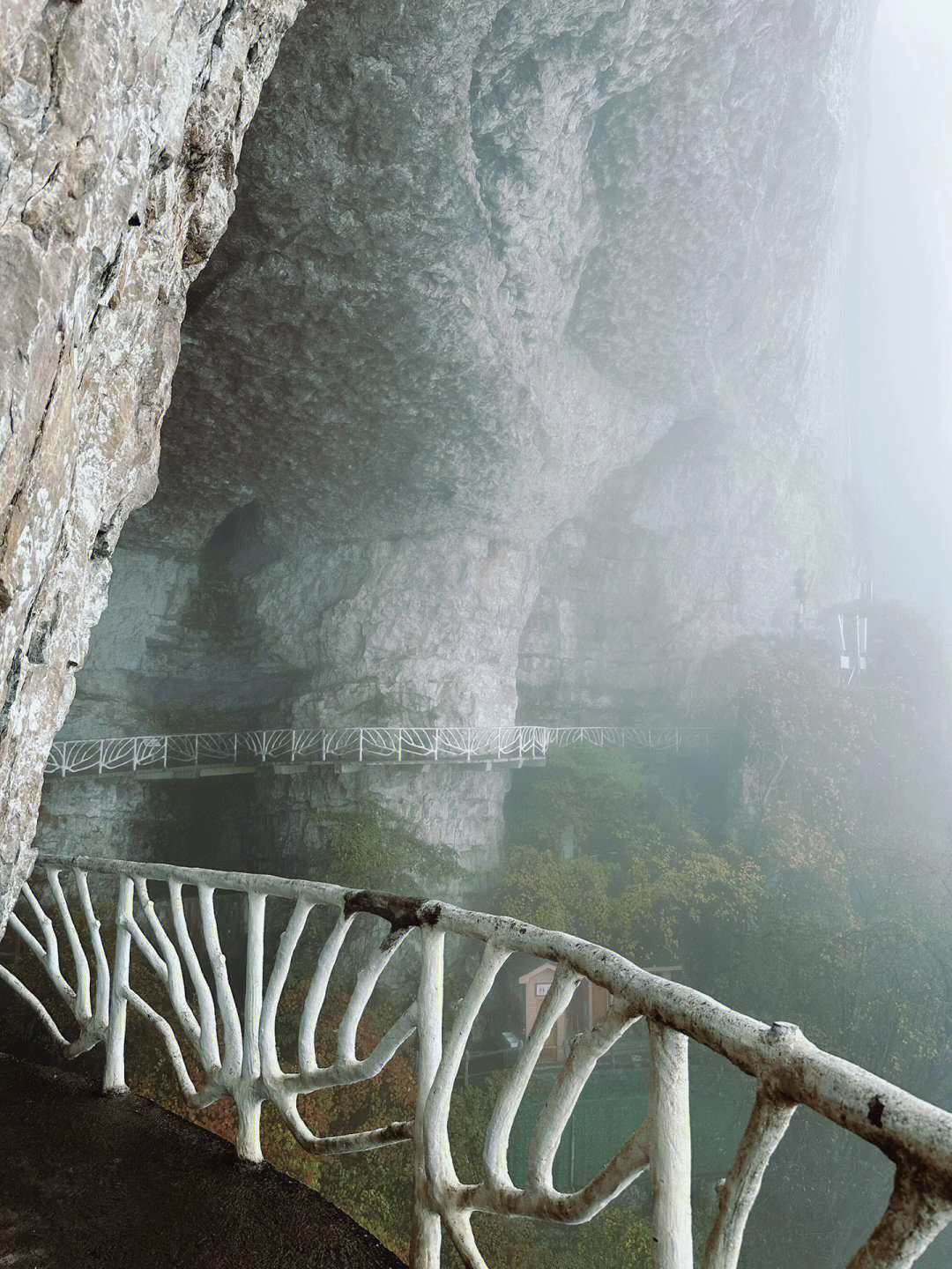 金佛山北坡图片