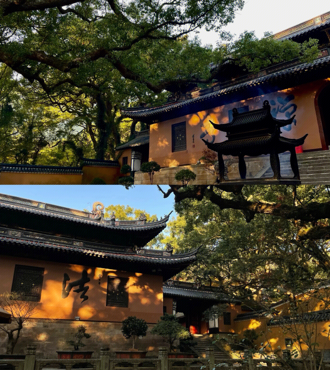 普陀山61法雨寺