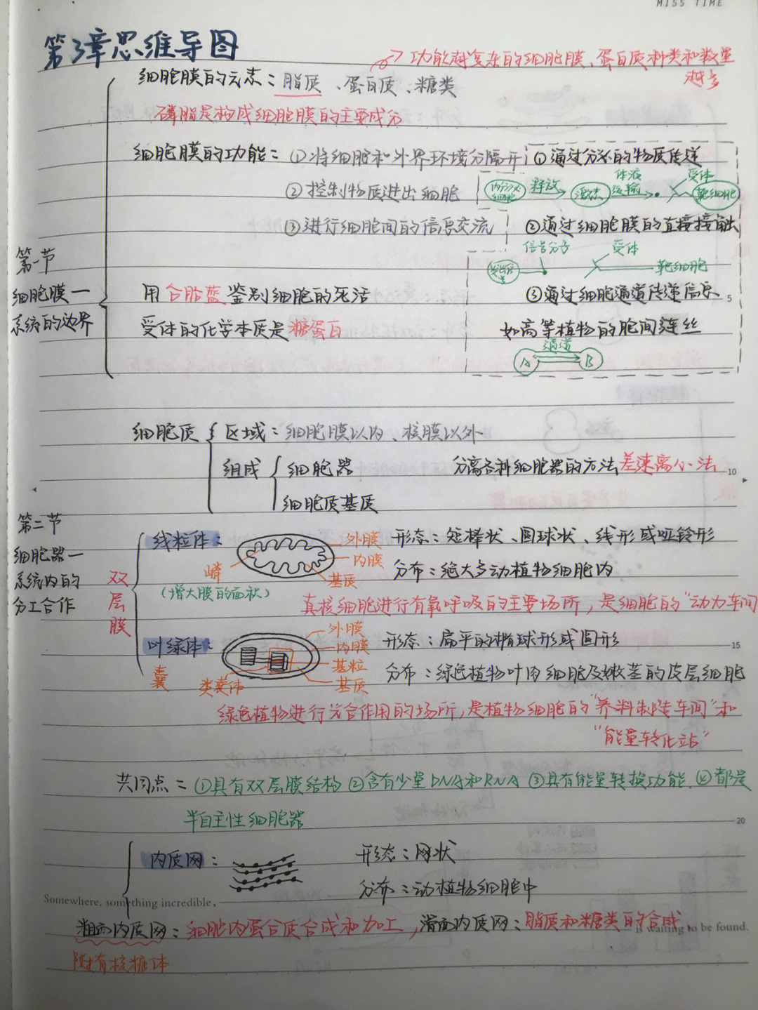 生物必修一第三章导图图片