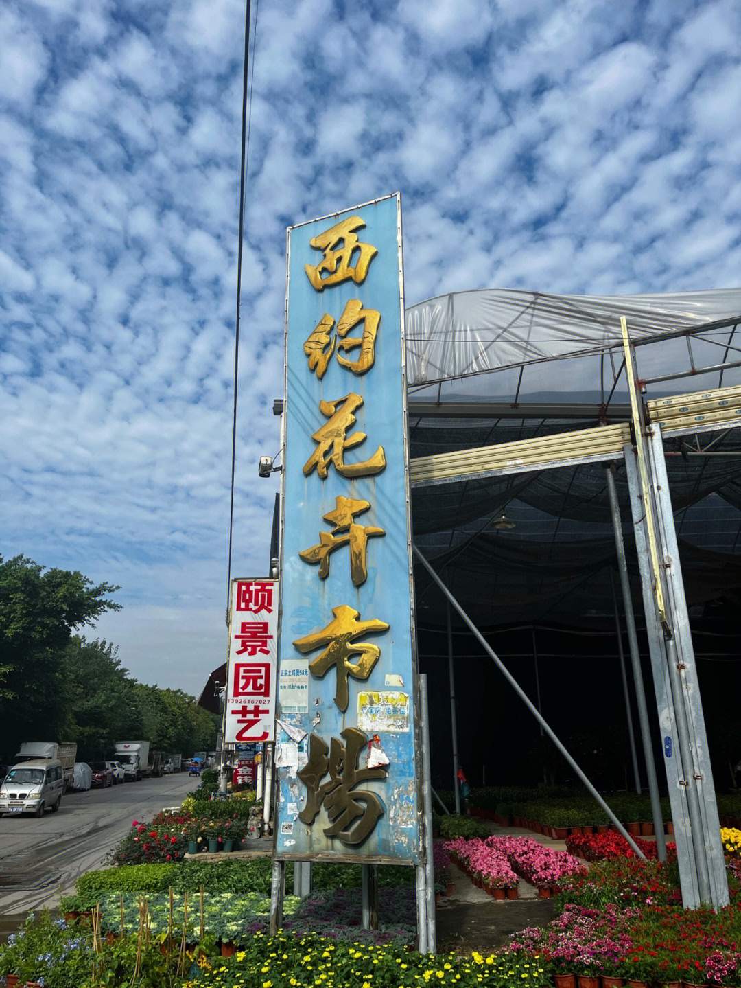 广东最大最便宜的花卉市场西约花卉市场