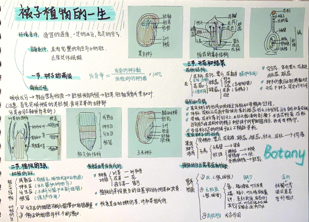 七上生物思维导图手绘图片