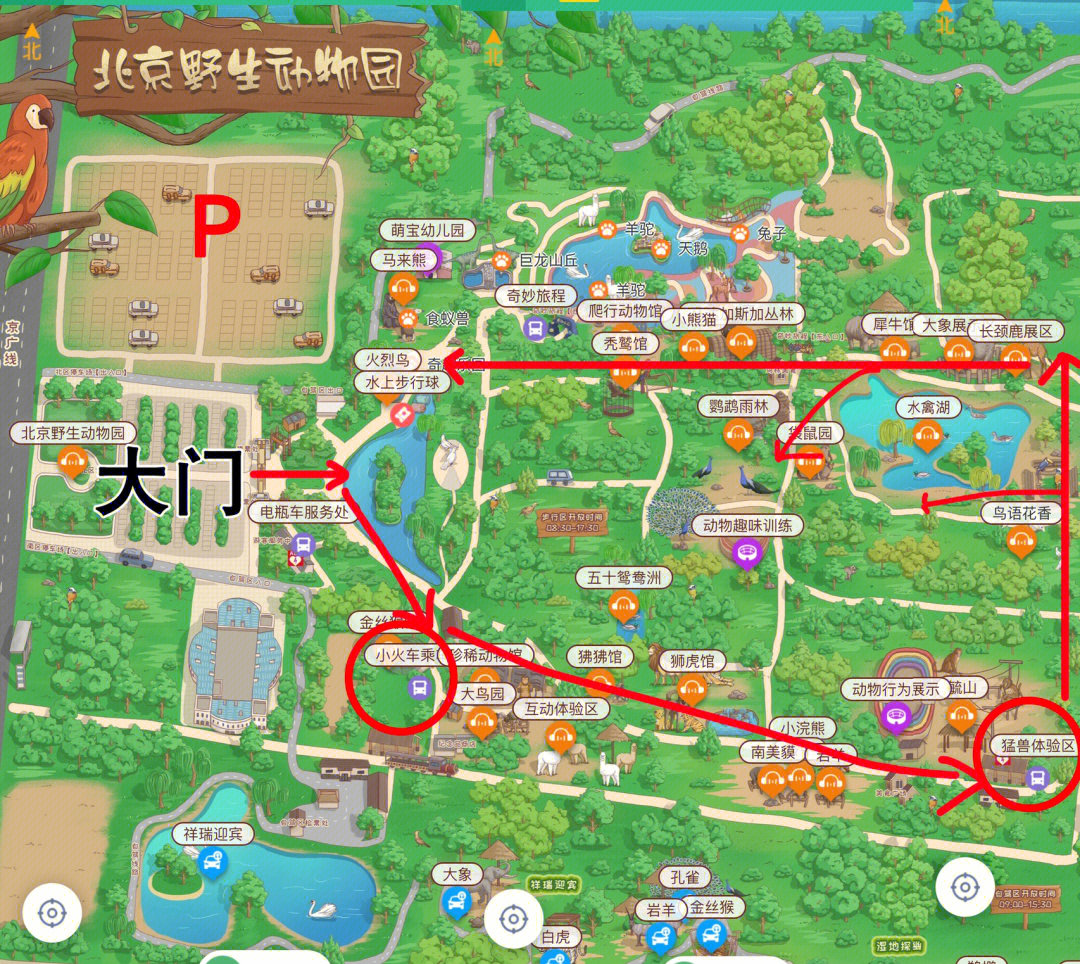 北京动物园路线图片