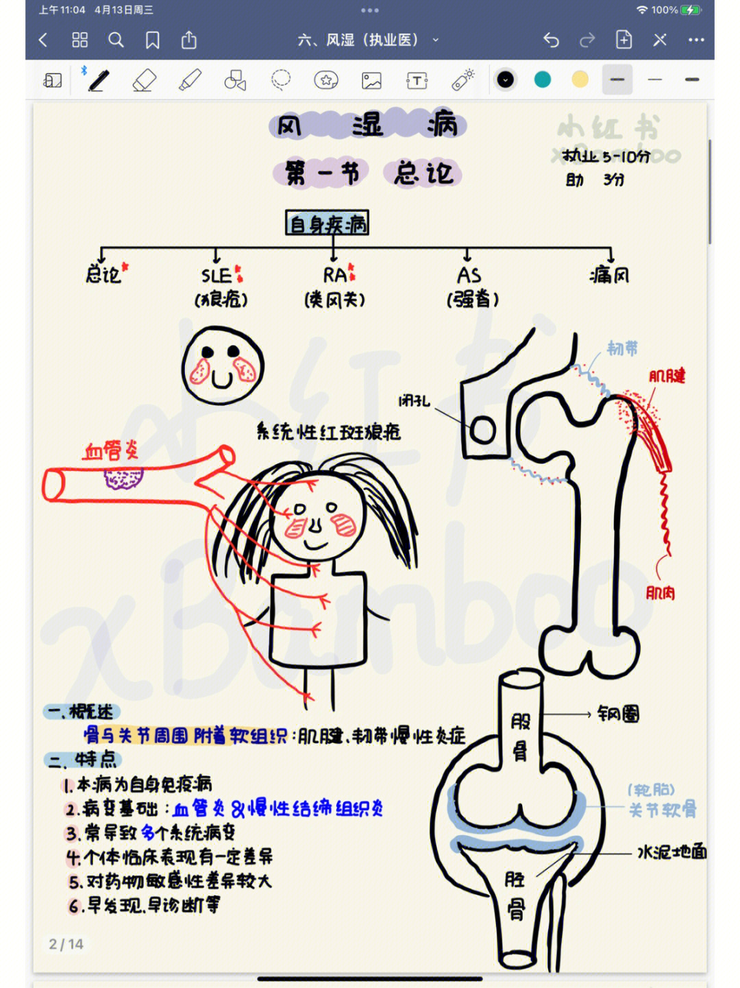 风湿小结图片图片