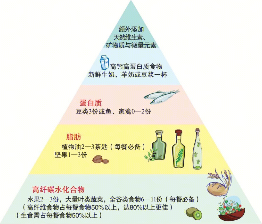 人体营养金字塔图图片