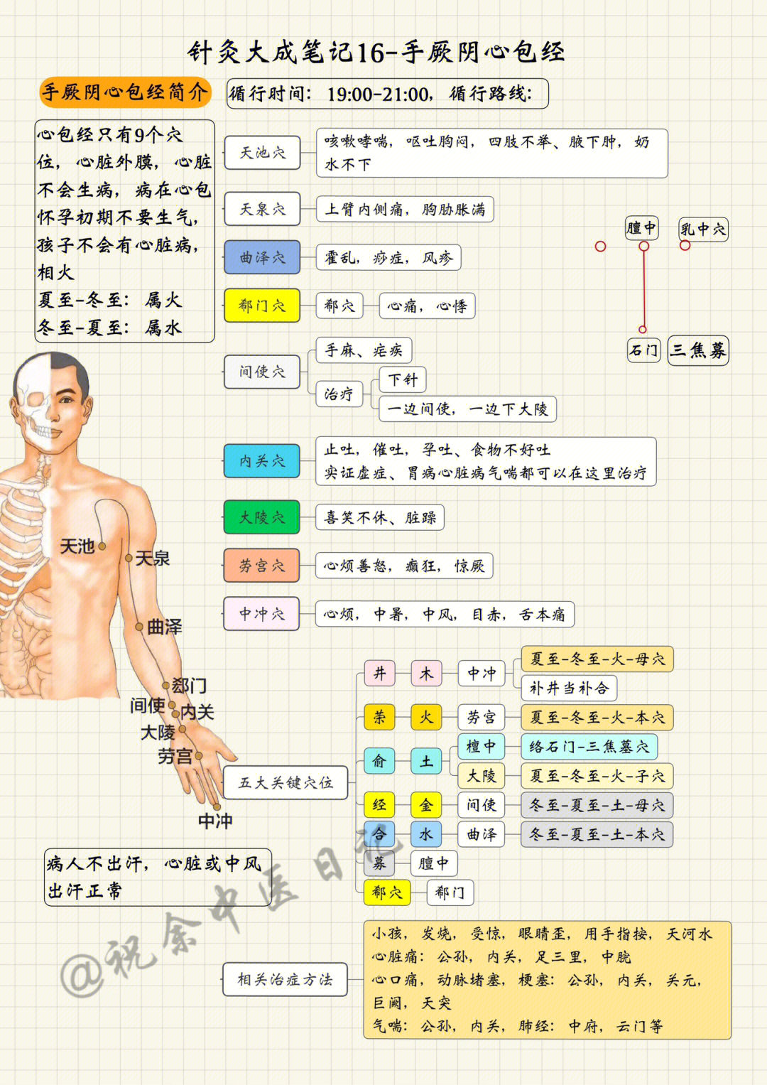 十二经络循行图高清图片