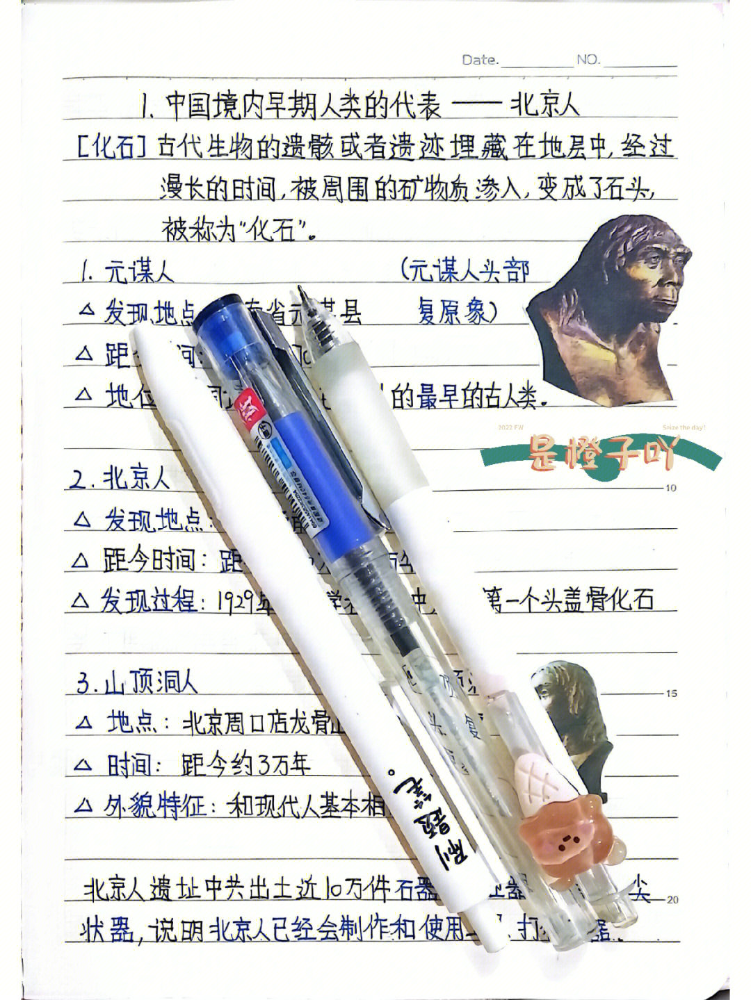 北京猿人遗址手抄报图片
