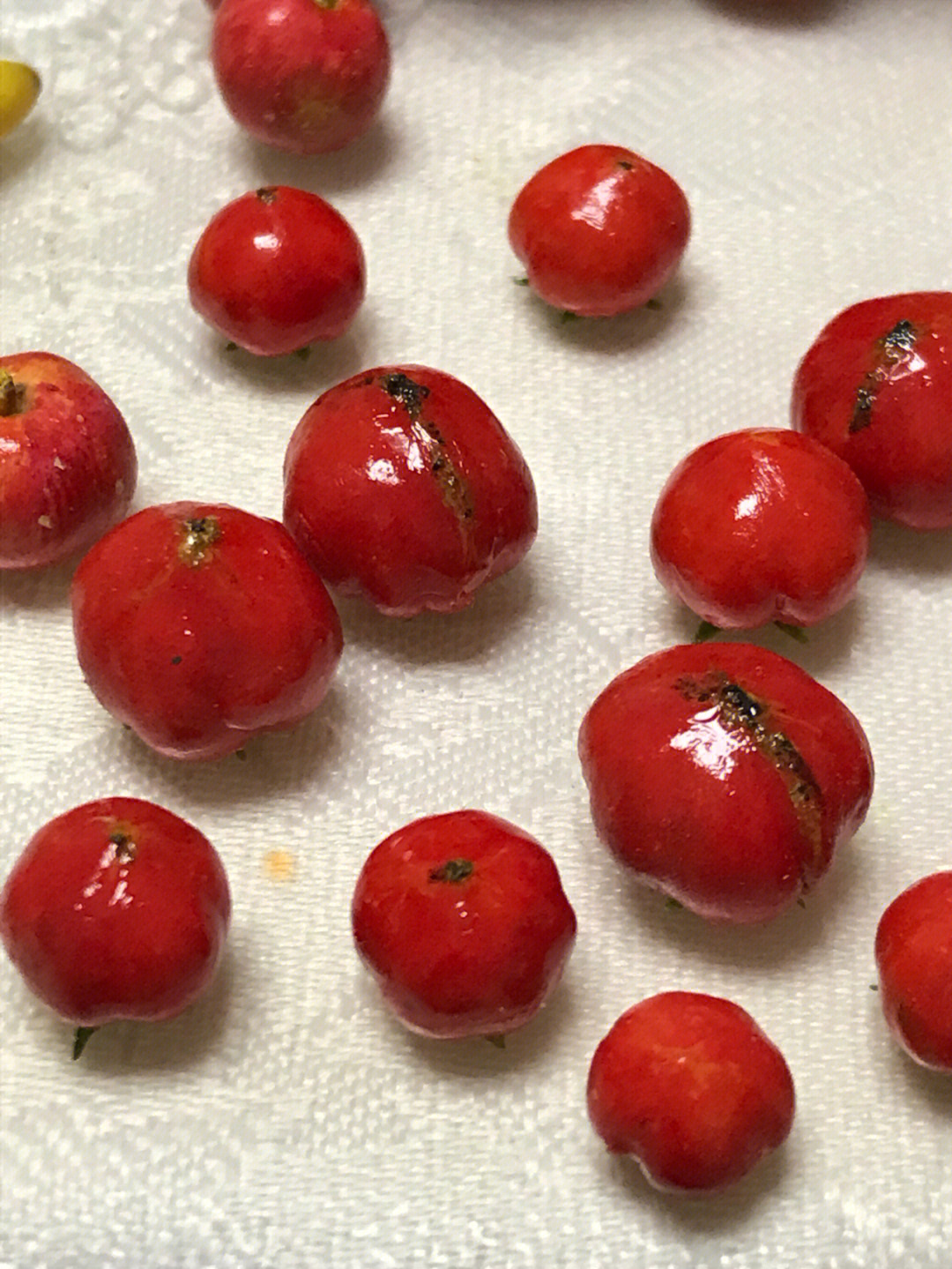 粘土番茄西红柿
