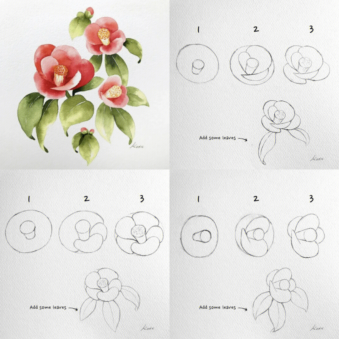 超详细花朵画法集合②让你一遍就会画