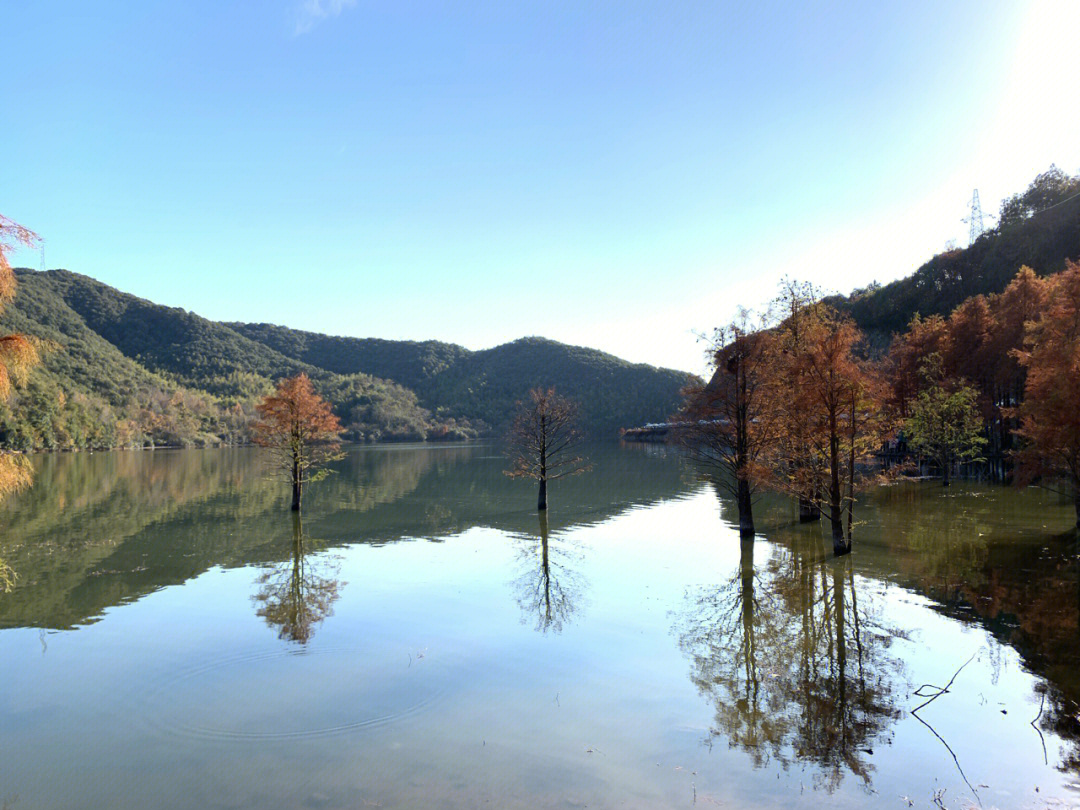 石井水库