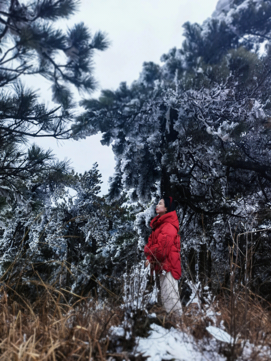 庐山的雪