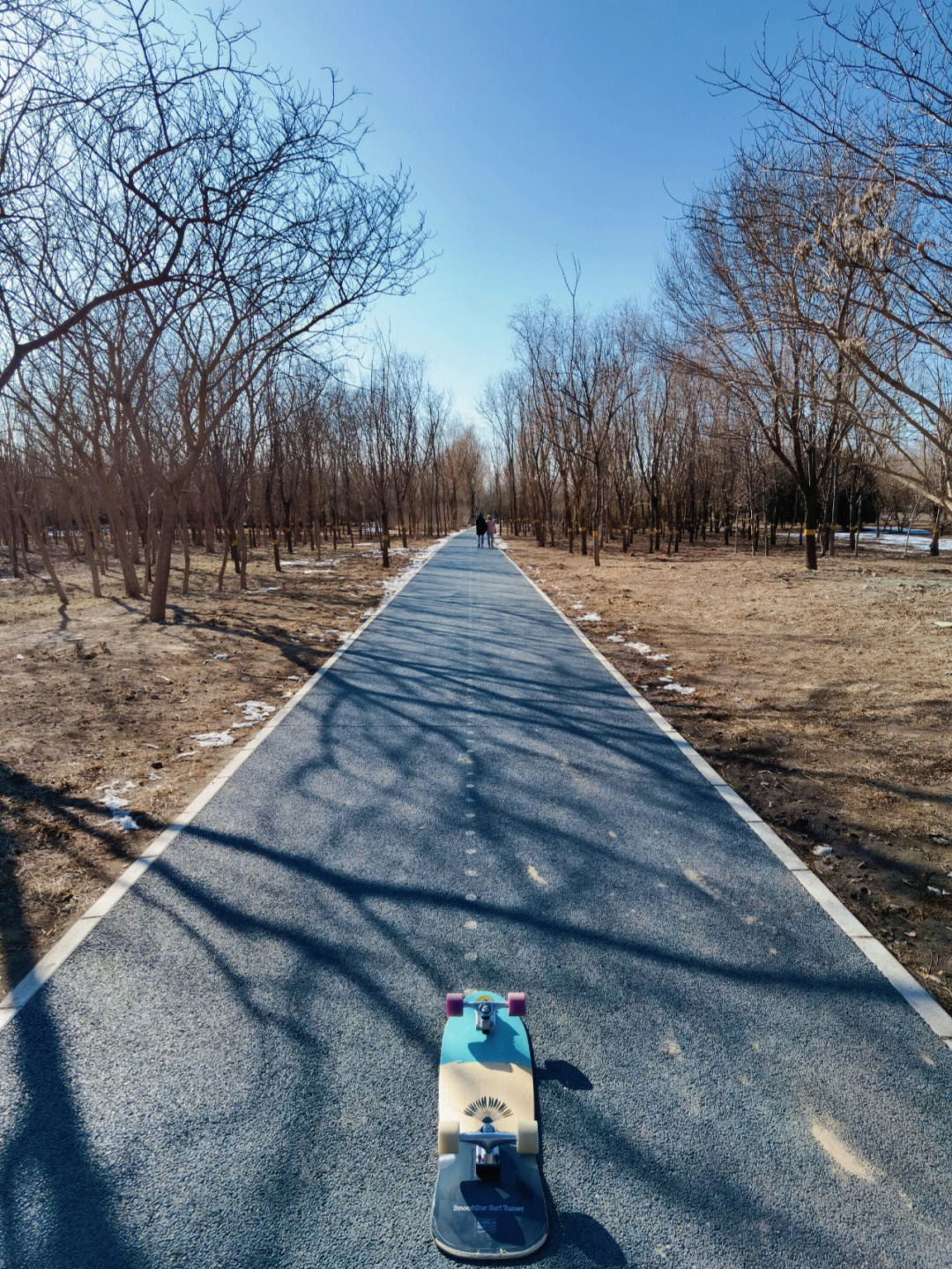 太平郊野公园图片