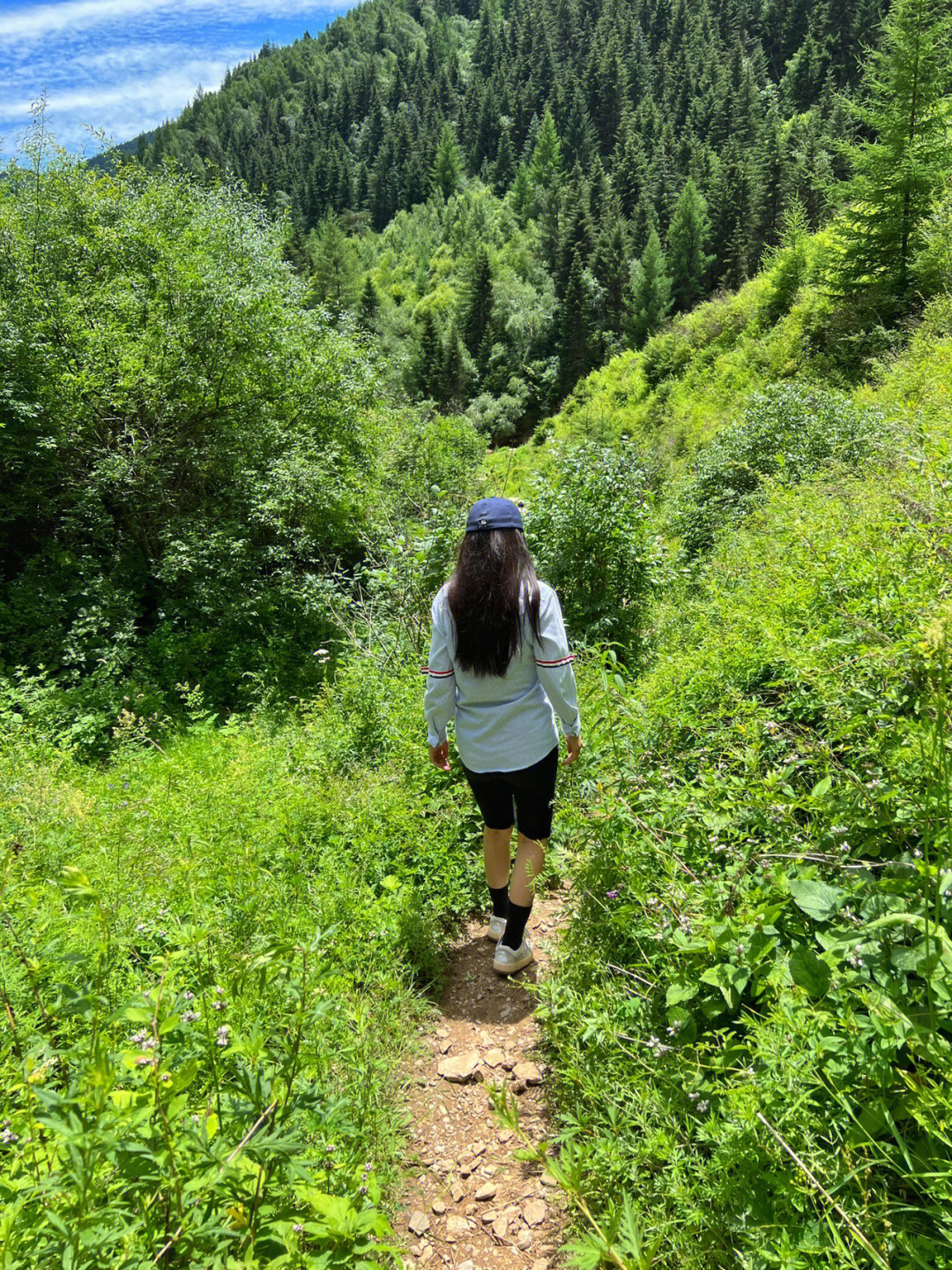 山西芦芽山森林氧吧万年冰洞