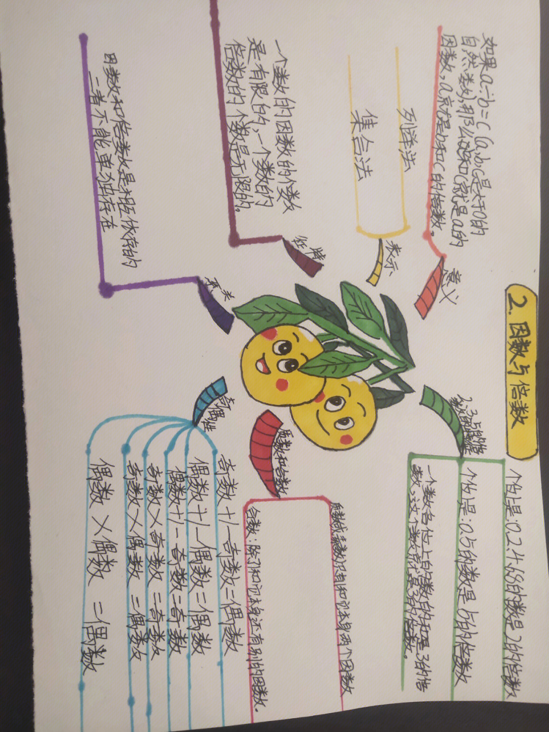 五年级下册数学思维导图第二单元