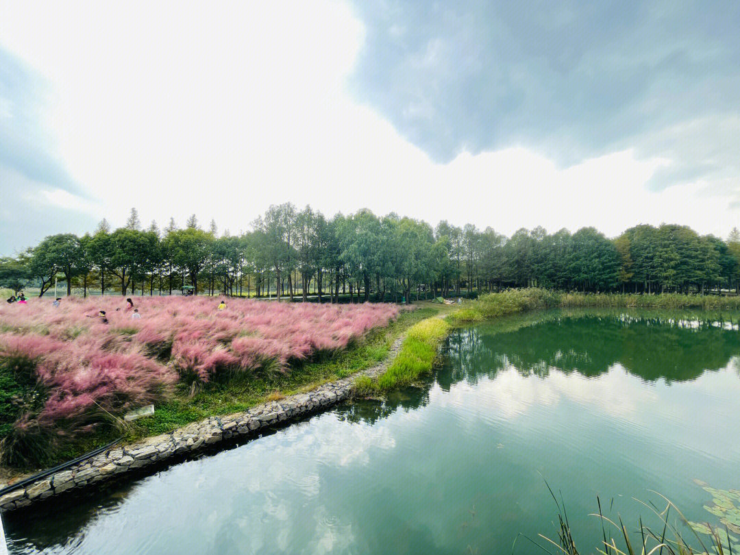 苏州虎丘湿地公园简介图片