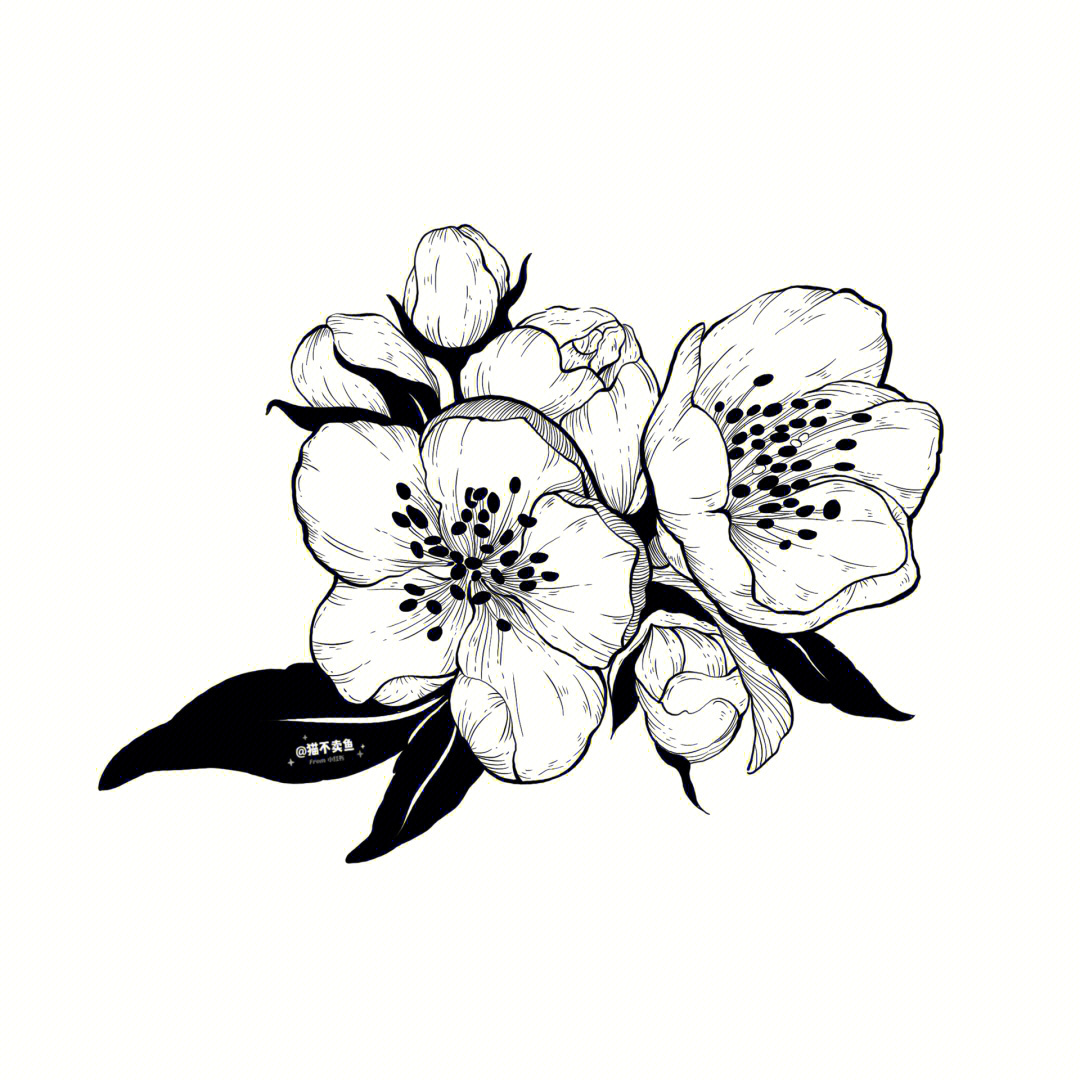 樱花花束黑白装饰画步骤图