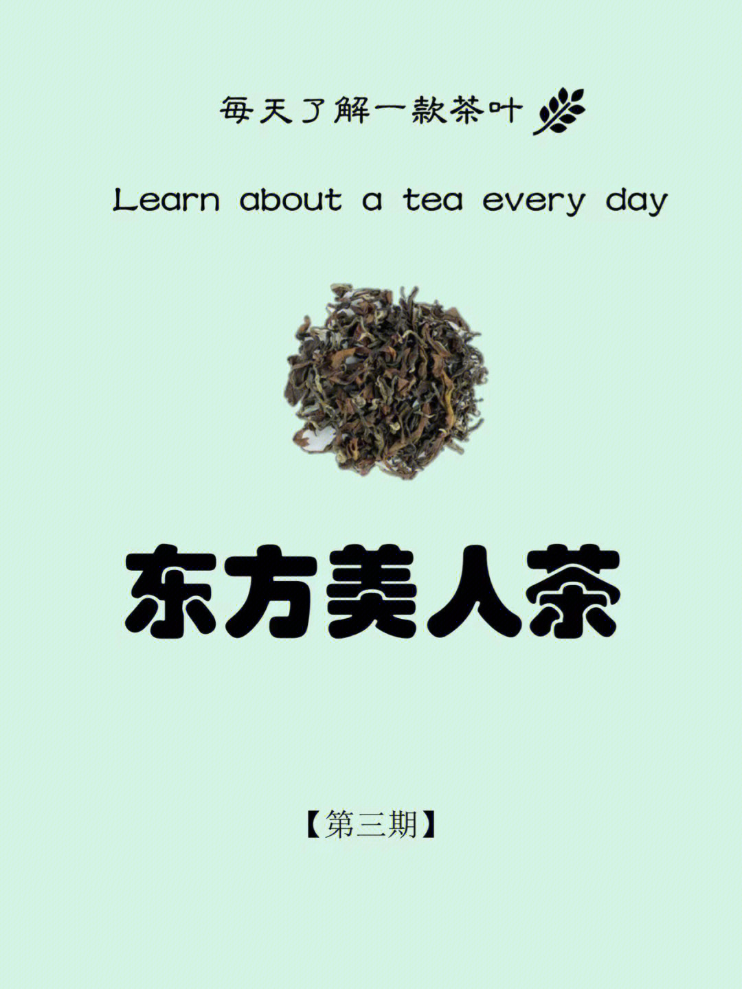 每天了解一款茶叶东方美人