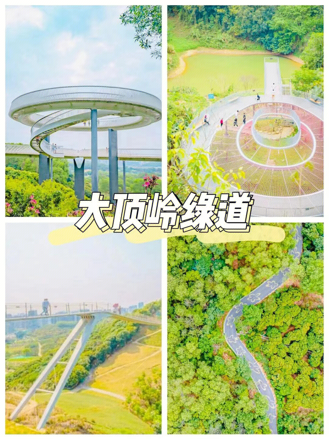 大顶岭绿道地图图片