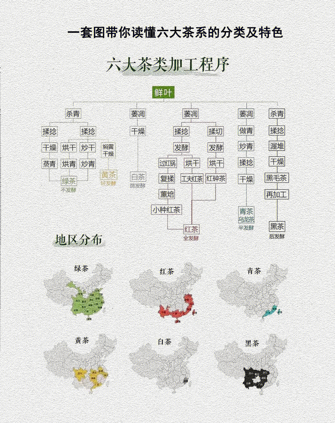 一套图带你读懂六大茶系的分类及特色